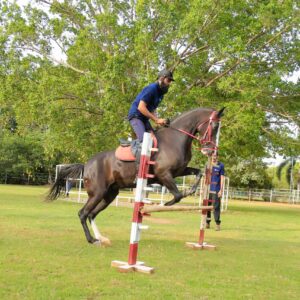 Exclusive Equestrian Retreat (for Foreigners)