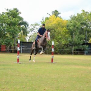Nature Trail Horseback Ride (for Foreigners)