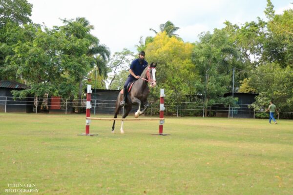 Exclusive Equestrian Retreat (for Foreigners) - Image 5