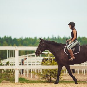 Beginner Equestrian Experience (for Foreigners)
