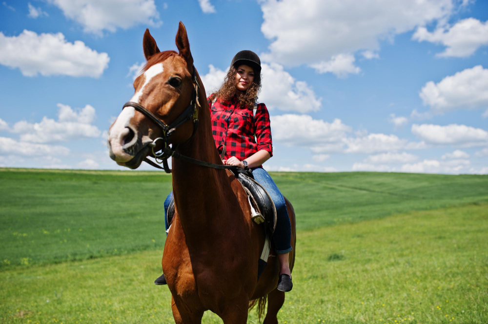 Person riding horse